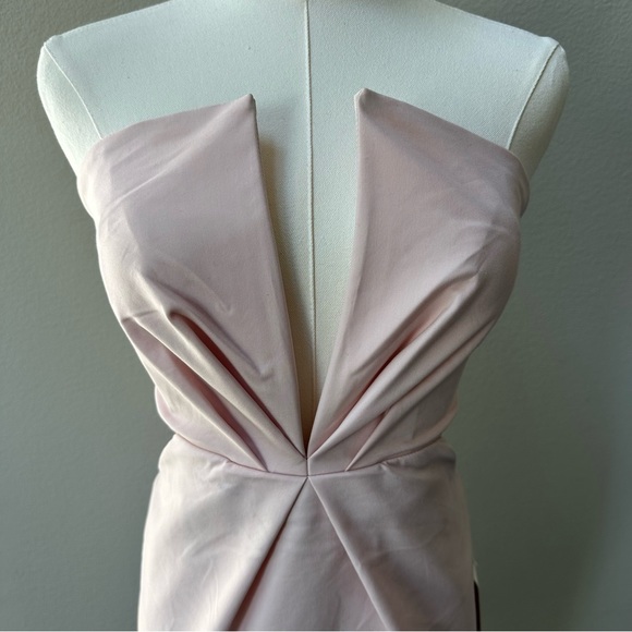 NWT Tobi Into The Night Strapless Dress in Blush - Picture 5 of 10